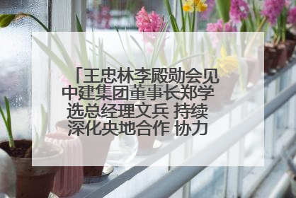 王忠林李殿勋会见中建集团董事长郑学选总经理文兵 持续深化央地合作 协力推动支点建设