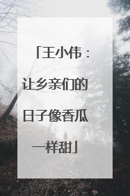 王小伟：让乡亲们的日子像香瓜一样甜