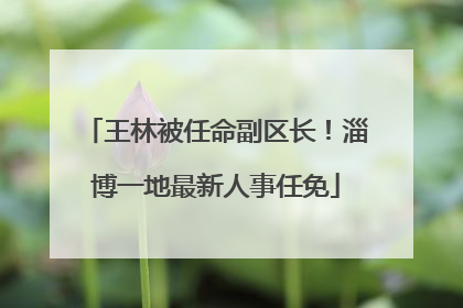 王林被任命副区长！淄博一地最新人事任免