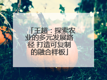 王超：探索农业的多元发展路径 打造可复制的融合样板
