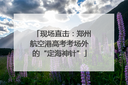 现场直击：郑州航空港高考考场外的“定海神针”