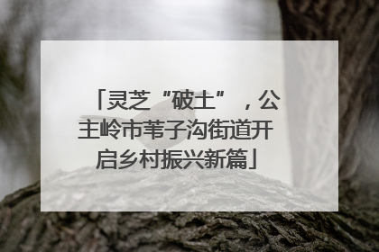 灵芝“破土”，公主岭市苇子沟街道开启乡村振兴新篇