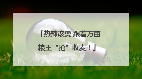 热辣滚烫 跟着万亩粮王“抢”收麦！