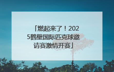 燃起来了！2025鹤壁国际匹克球邀请赛激情开赛