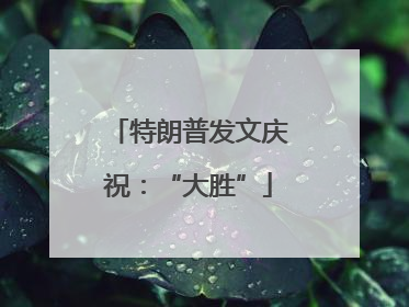 特朗普发文庆祝：“大胜”