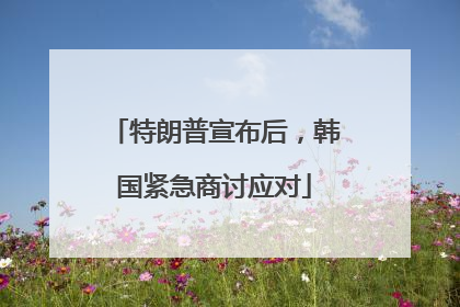 特朗普宣布后，韩国紧急商讨应对