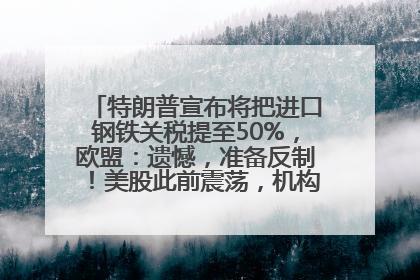 特朗普宣布将把进口钢铁关税提至50%，欧盟：遗憾，准备反制！美股此前震荡，机构：美元正进入熊市
