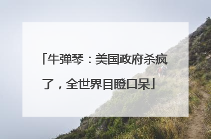 牛弹琴：美国政府杀疯了，全世界目瞪口呆