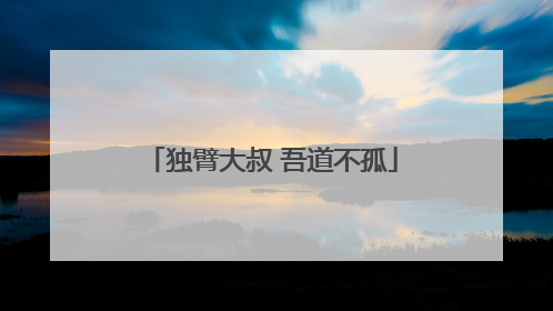 独臂大叔 吾道不孤