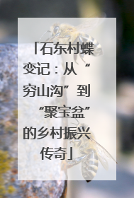 石东村蝶变记：从“穷山沟”到“聚宝盆”的乡村振兴传奇