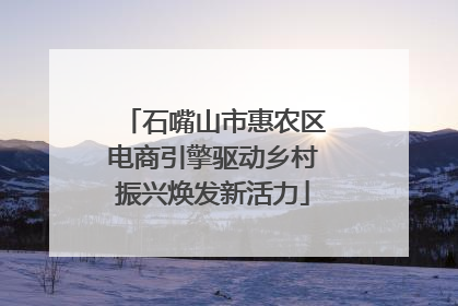 石嘴山市惠农区电商引擎驱动乡村振兴焕发新活力