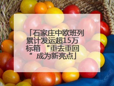 石家庄中欧班列累计发运超15万标箱 “重去重回”成为新亮点