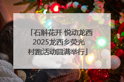 石斛花开 悦动龙西 2025龙西乡荧光村跑活动圆满举行