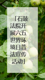 石鼓法院开展六五世界环境日普法宣传活动