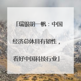 瑞银胡一帆：中国经济总体具有韧性，看好中国科技行业