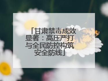 甘肃禁毒成效显著：高压严打与全民防控构筑安全防线