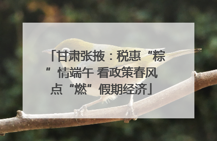 甘肃张掖：税惠“粽”情端午 看政策春风点“燃”假期经济