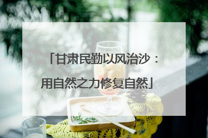 甘肃民勤以风治沙：用自然之力修复自然