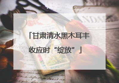 甘肃清水黑木耳丰收应时“绽放”