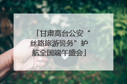甘肃高台公安“丝路旅游警务”护航全国端午盛会