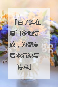 百子莲在厦门多地绽放，为盛夏增添清凉与诗意