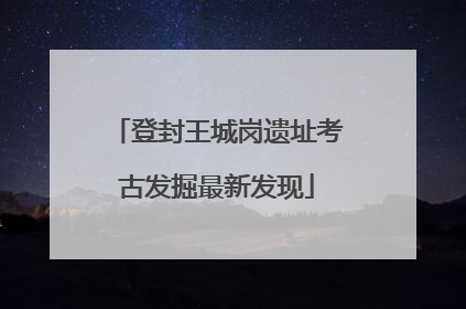 登封王城岗遗址考古发掘最新发现