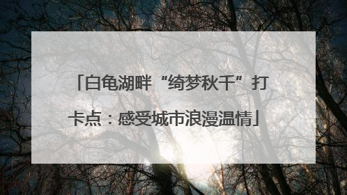 白龟湖畔“绮梦秋千”打卡点：感受城市浪漫温情