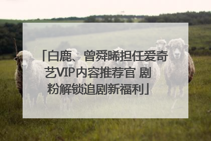 白鹿、曾舜晞担任爱奇艺VIP内容推荐官 剧粉解锁追剧新福利