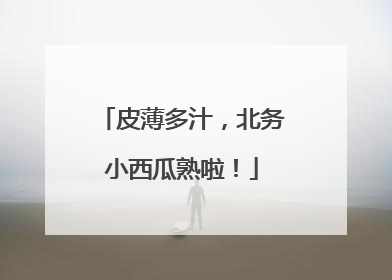 皮薄多汁，北务小西瓜熟啦！