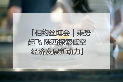 相约丝博会｜乘势起飞 陕西探索低空经济发展新动力