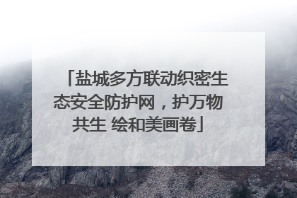 盐城多方联动织密生态安全防护网，护万物共生 绘和美画卷