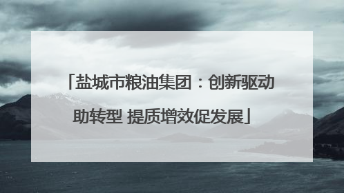 盐城市粮油集团：创新驱动助转型 提质增效促发展