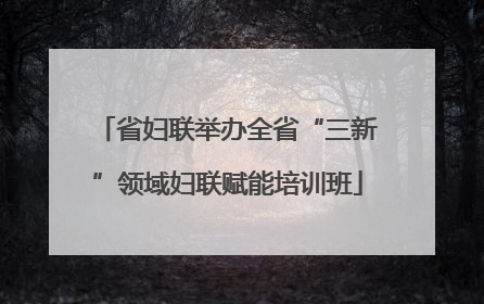 省妇联举办全省“三新”领域妇联赋能培训班