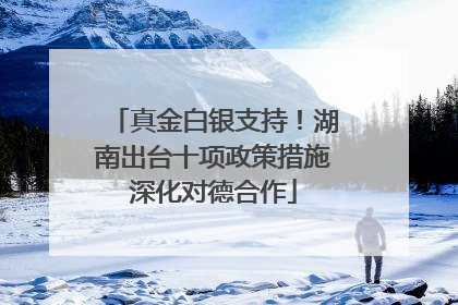真金白银支持！湖南出台十项政策措施深化对德合作