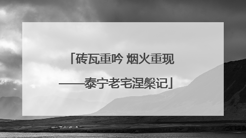 砖瓦重吟 烟火重现——泰宁老宅涅槃记
