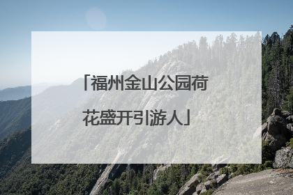 福州金山公园荷花盛开引游人