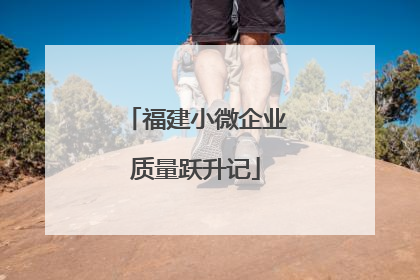 福建小微企业质量跃升记