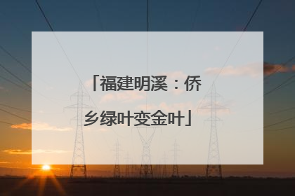 福建明溪：侨乡绿叶变金叶