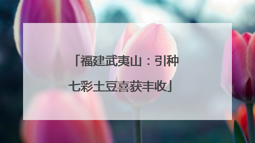 福建武夷山：引种七彩土豆喜获丰收