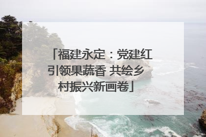 福建永定：党建红引领果蔬香 共绘乡村振兴新画卷