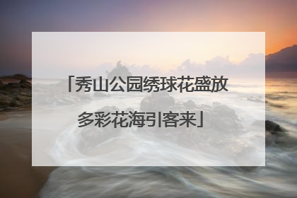 秀山公园绣球花盛放 多彩花海引客来