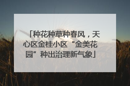 种花种草种春风，天心区金桂小区“金美花园”种出治理新气象
