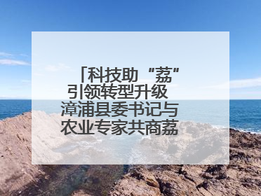 科技助“荔”引领转型升级 漳浦县委书记与农业专家共商荔枝产业发展