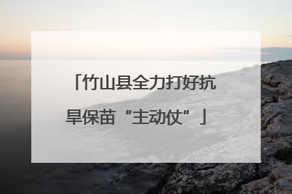 竹山县全力打好抗旱保苗“主动仗”