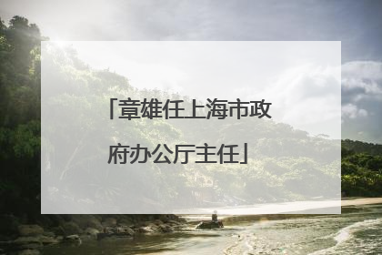 章雄任上海市政府办公厅主任