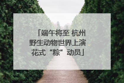 端午将至 杭州野生动物世界上演花式“粽”动员