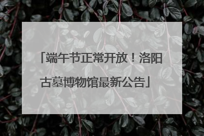 端午节正常开放！洛阳古墓博物馆最新公告