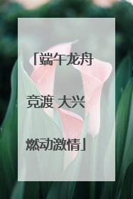 端午龙舟竞渡 大兴燃动激情