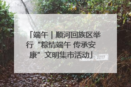 端午｜顺河回族区举行“粽情端午 传承安康”文明集市活动