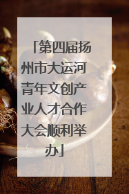 第四届扬州市大运河青年文创产业人才合作大会顺利举办